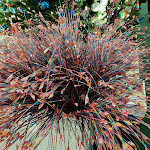 Photo n° 10 de l'avis de Rose.o fait le 09/01/2020 à 20:44 pour Le Bon Marché Rive Gauche à Paris