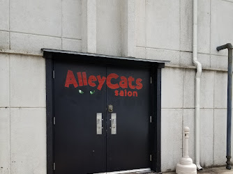 AlleyCats Salon