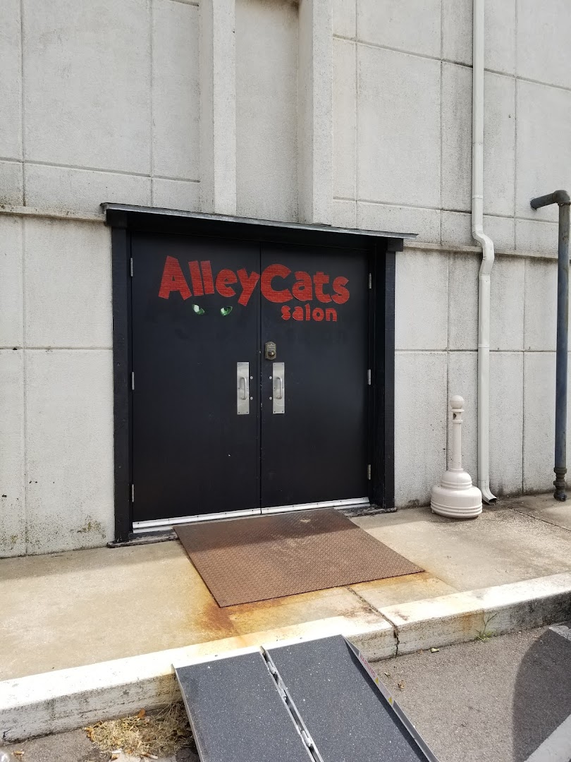 AlleyCats Salon