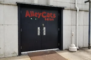 AlleyCats Salon image