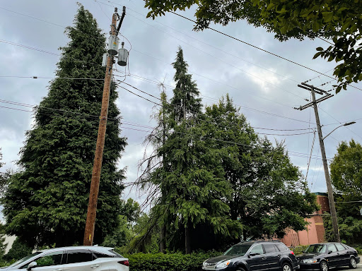 Community Center «Miller Community Center», reviews and photos, 330 19th Ave E, Seattle, WA 98112, USA