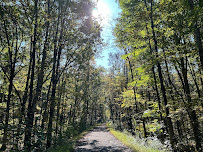 New Paltz Biking - Photo 5 - Car repair in New Paltz, NY, Poughkeepsie