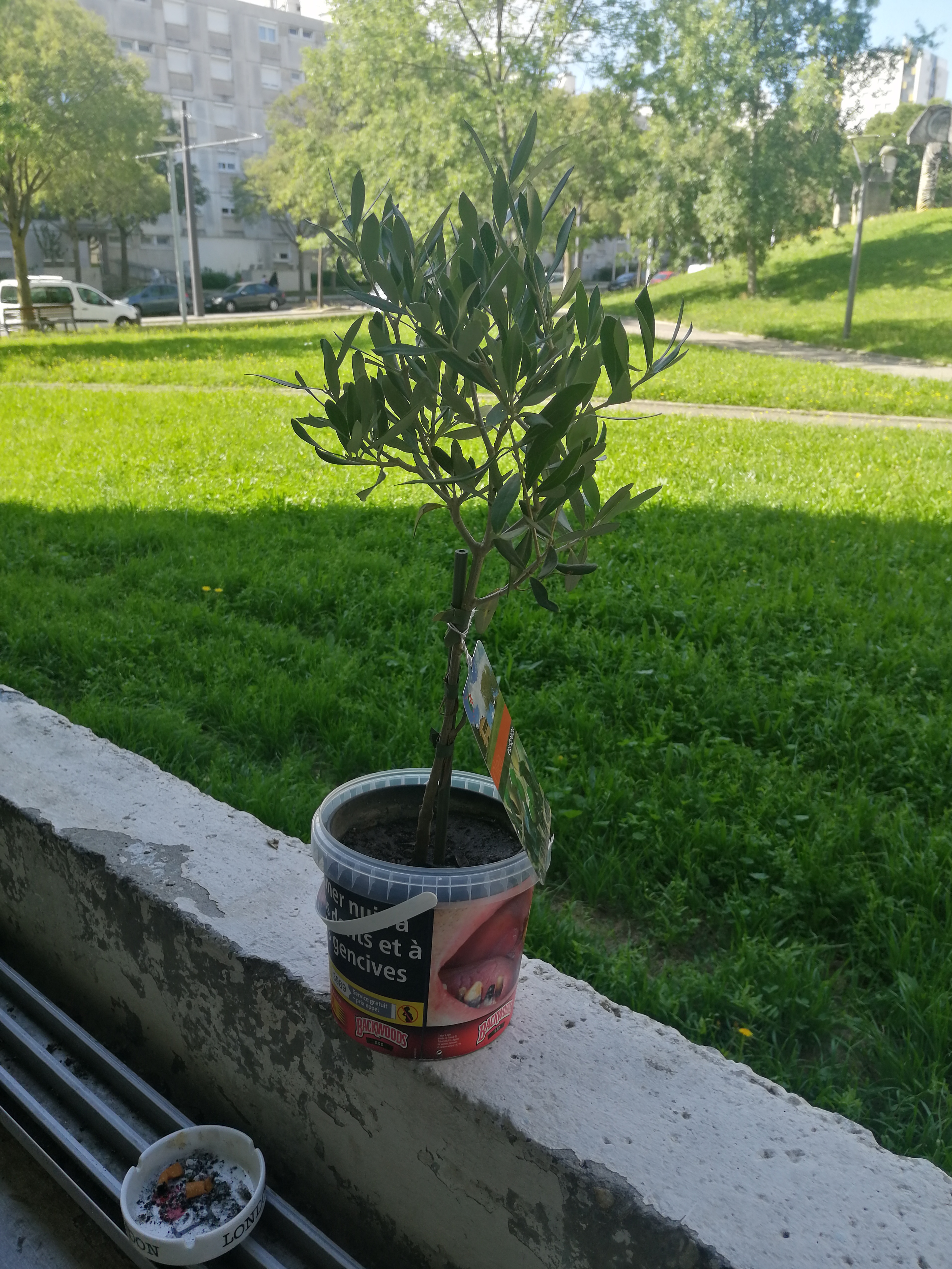 Photo n° 2 de l'avis de Christophe.a fait le 20/08/2021 à 09:39