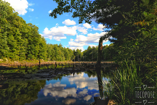 Tourist Attraction «Windham Rail Trail Parking», reviews and photos, 7 Depot Rd, Windham, NH 03087, USA