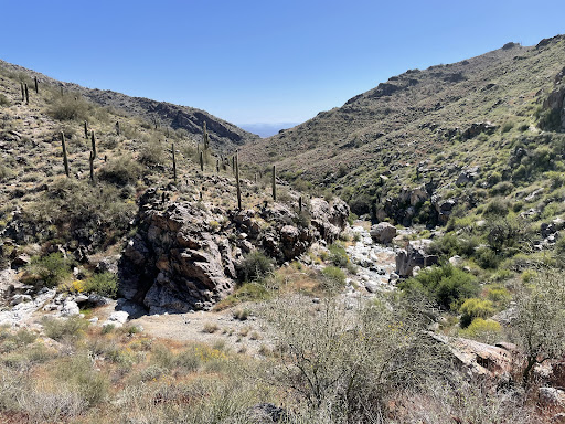 Mesquite Canyon Trail