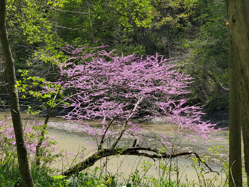 Nature Preserve «Kokiwanee Nature Preserve», reviews and photos, 5825 E 50 S, Lagro, IN 46941, USA