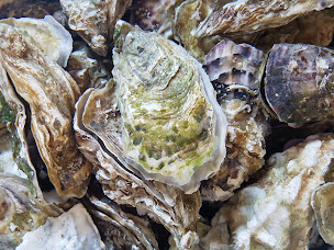 Photo n°74 de L'Huître la Toulverne - Au Rythme des marées à Baden ()
