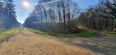 Forêt de Loudéac - Croisée de la Butte aux Ifs à La Motte