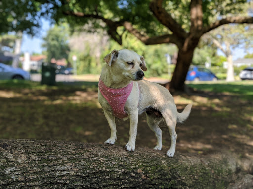 Valley Village Park image