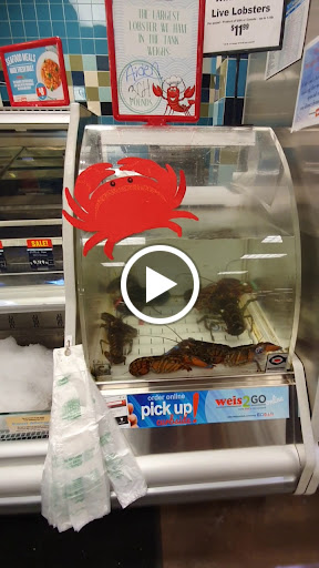 Grocery Store «Weis Markets», reviews and photos, Glenlivet Dr, Allentown, PA 18106, USA