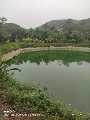 Resort Quốc Anh