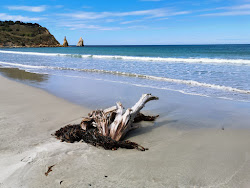 Foto av Karitane Beach omgiven av berg