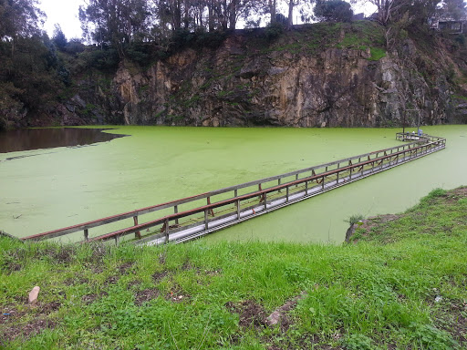 Shopping Mall «Shops at the Ridge», reviews and photos, 5100 Broadway, Oakland, CA 94611, USA