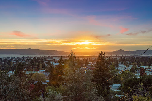 Remy Weinstein - REALTOR image