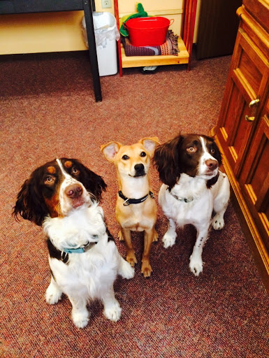 Gift Shop «Impressions of Saratoga», reviews and photos, 368 Broadway, Saratoga Springs, NY 12866, USA