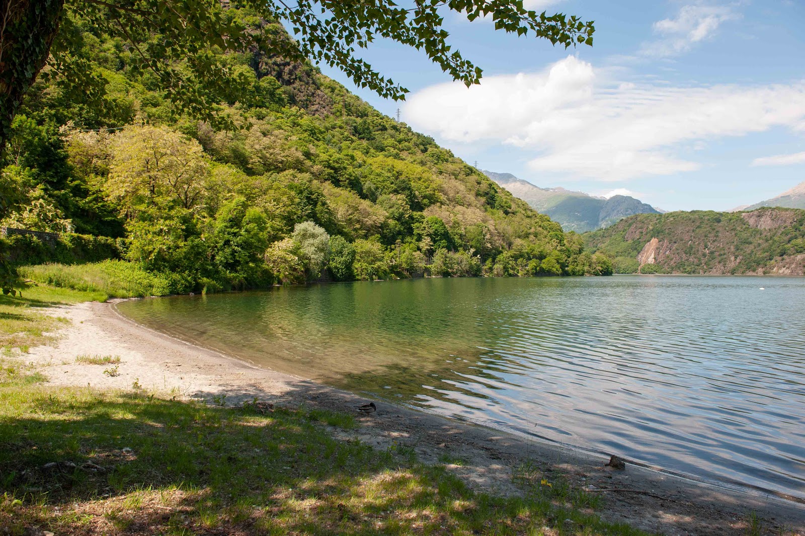 Spiaggia Mago della Salsiccia'in fotoğrafı çok temiz temizlik seviyesi ile