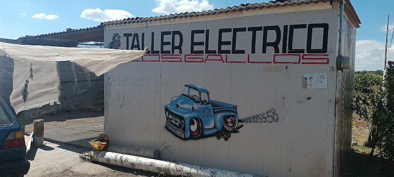 Taller eléctrico los gallos