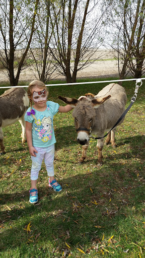 Cider Mill «Sutliff Cider Company», reviews and photos, 382 Sutliff Rd, Lisbon, IA 52253, USA