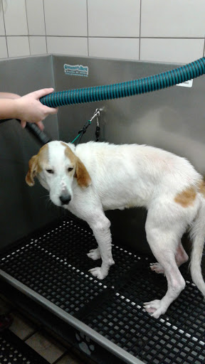 Pet Supply Store «Pet Supplies Plus», reviews and photos, 209 Towne Dr, Elizabethtown, KY 42701, USA