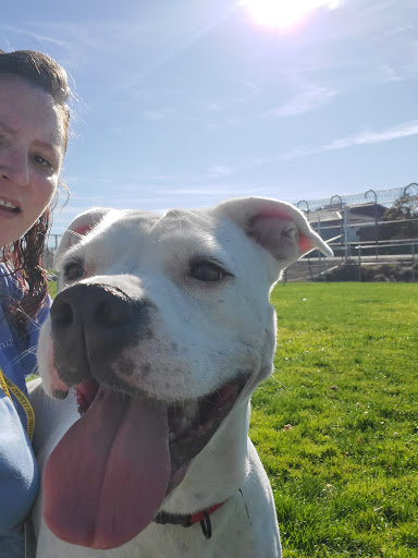 Placer County Animal Services Center image
