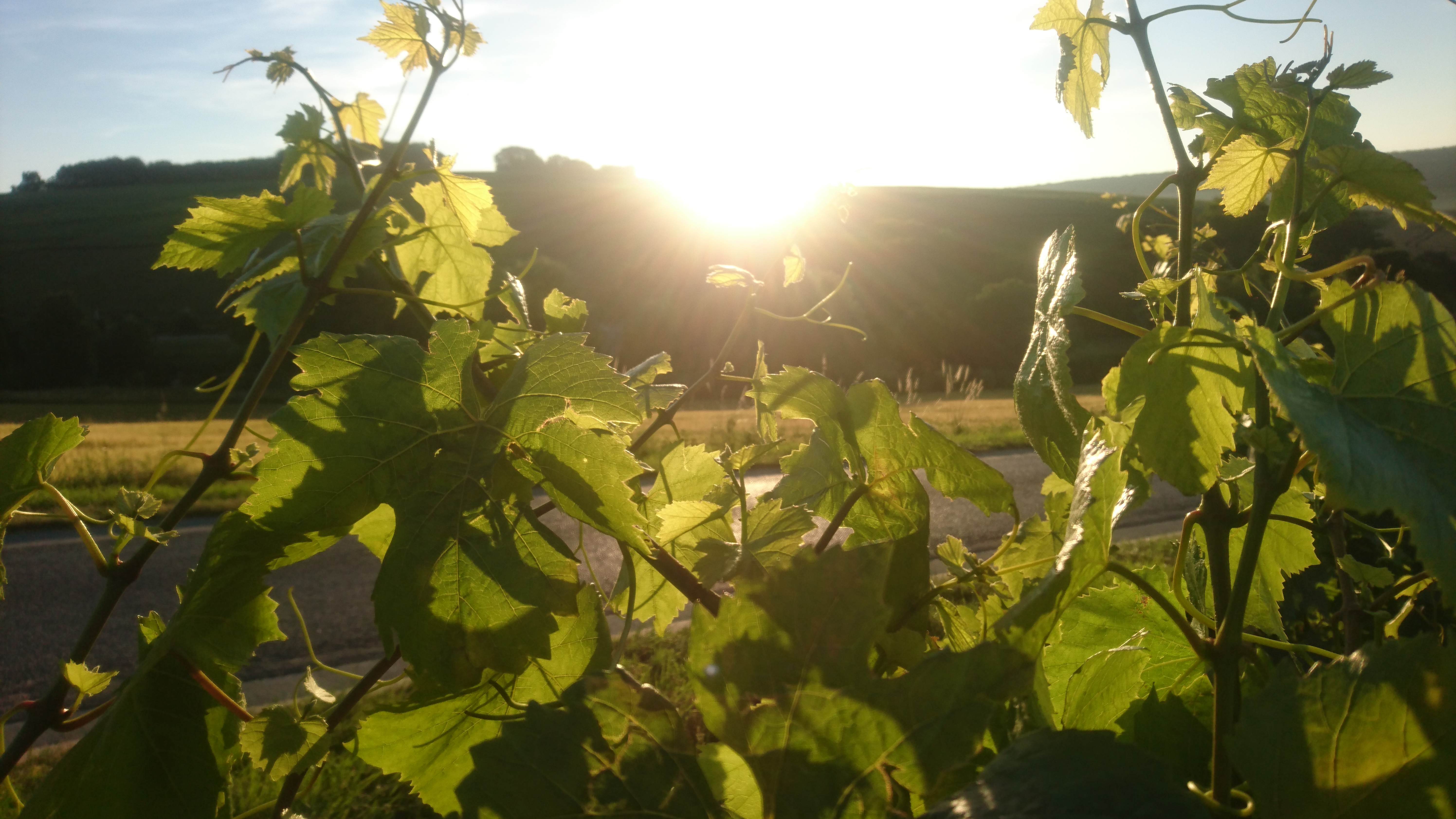 Photo n° 3 de l'avis de antoine.� fait le 29/07/2018 à 06:54