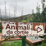 Photo n°16 de l'avis de Ciuri. fait le 14/01/2022 à 13:24 sur le  Agriturismo Bergi à Castelbuono