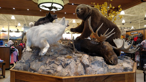 Outdoor Sports Store «Field & Stream», reviews and photos, 3851 Chapel Ln, Hoover, AL 35244, USA