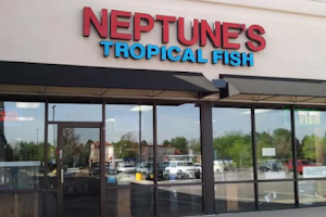 Neptune's Tropical Fish image