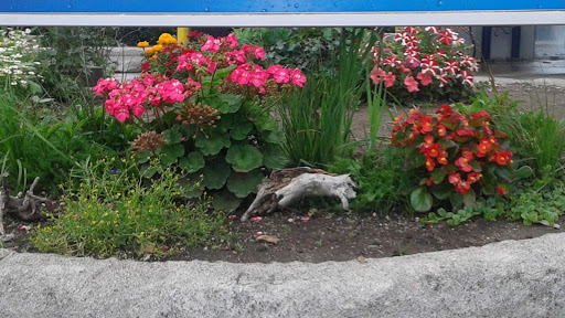 Car Wash «Elephant Car Wash», reviews and photos, 19311 WA-410, Bonney Lake, WA 98391, USA