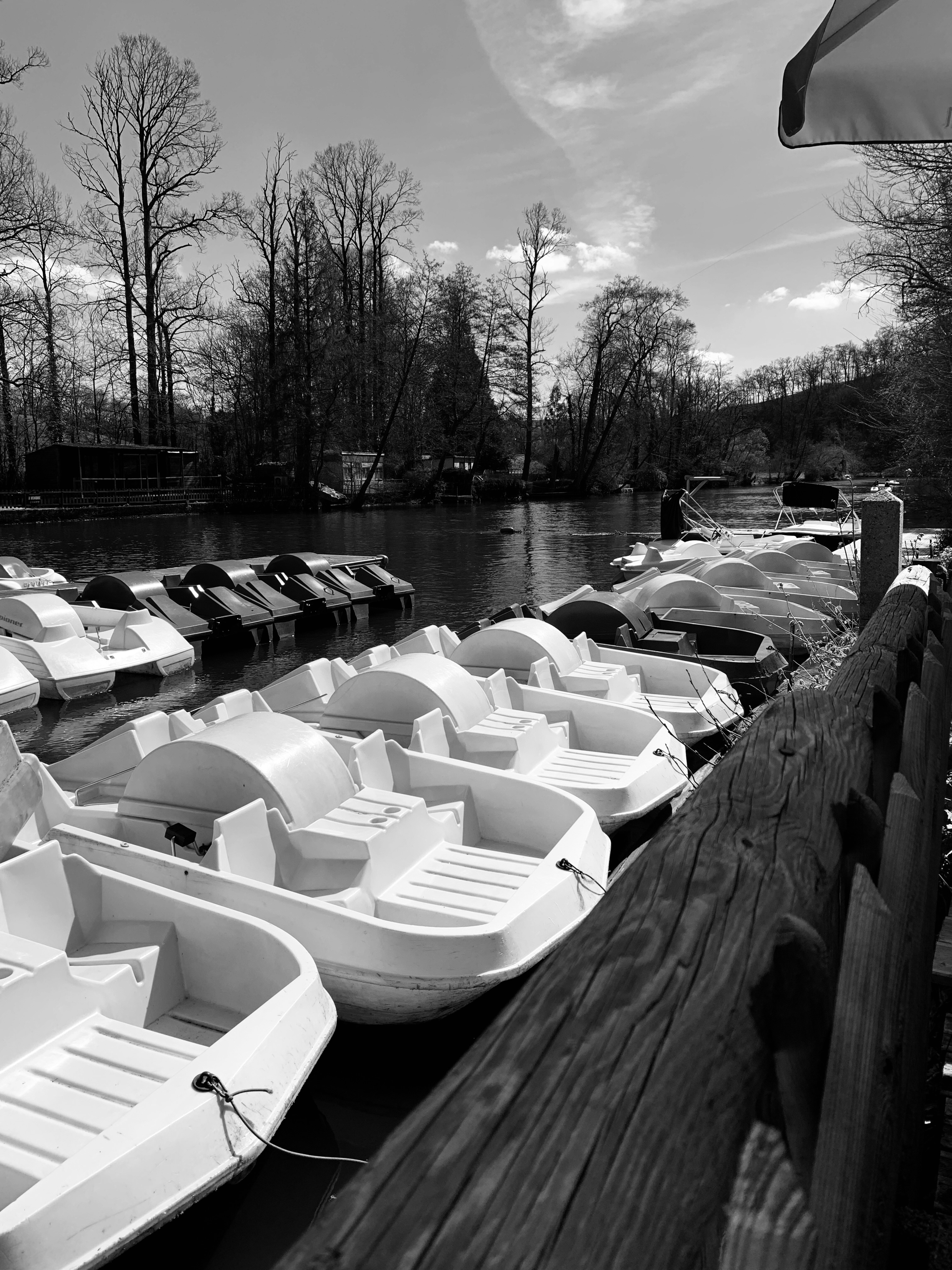 Photo n° 1 de l'avis de Cedric.e fait le 08/04/2023 à 20:37