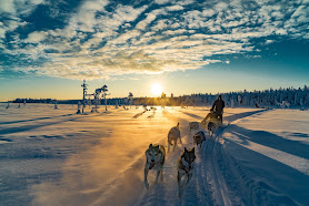 Lapland Travel
