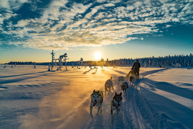 Lapland Travel