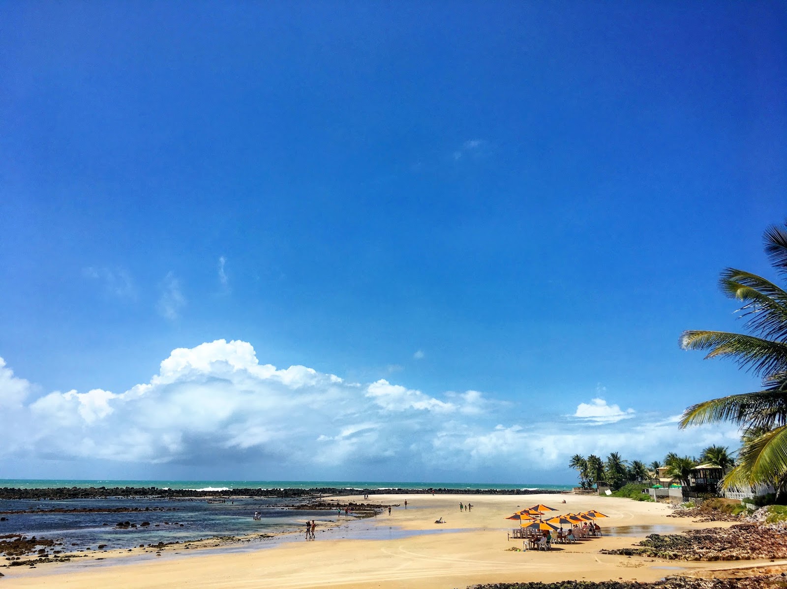 Foto de Praia das Tartarugas - lugar popular entre os apreciadores de relaxamento