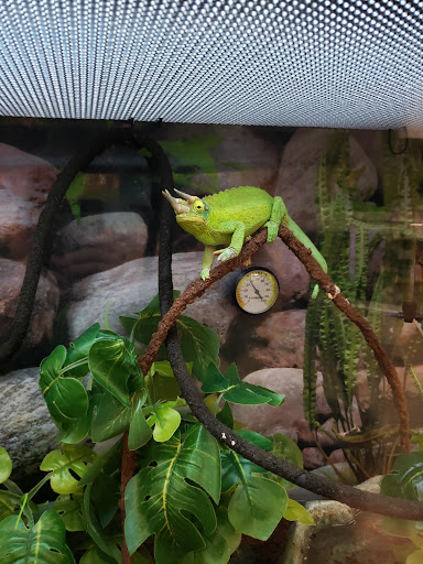 Pet Supply Store «Petco Animal Supplies», reviews and photos, 839 New York Ave, Huntington, NY 11743, USA