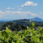 Photo n°3 de l'avis de Fabio.a fait le 20/05/2021 à 23:45 sur le  Il Baronetto à Amelia