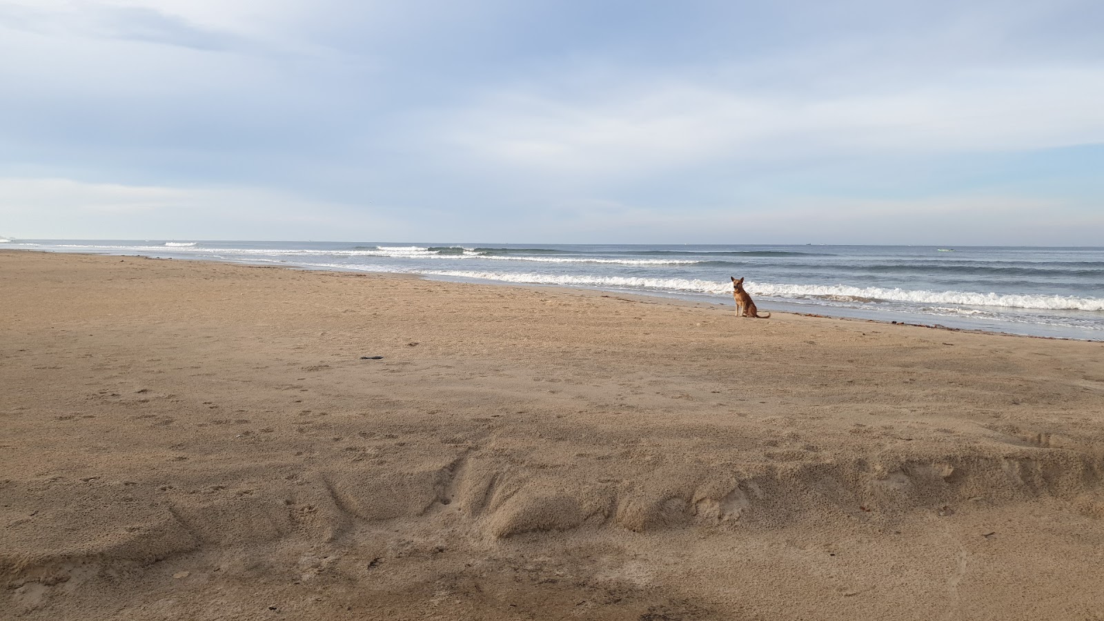 Alvekodi Beach的照片 带有长直海岸