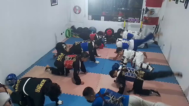 Comentarios y opiniones de CECOSP HUARAL TAEKWONDO
