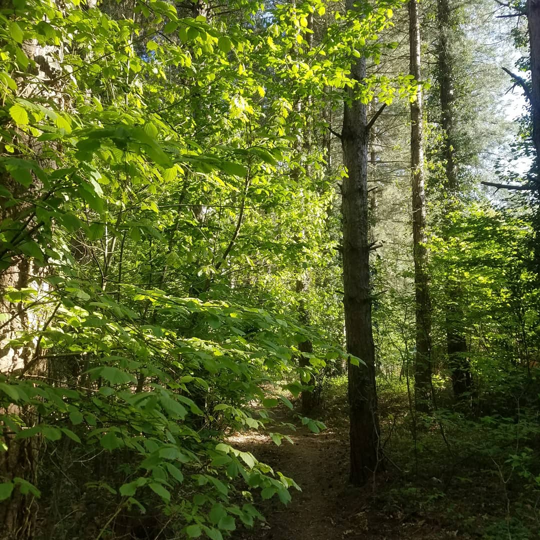 Photo n° 4 de l'avis de Claire.b fait le 13/05/2018 à 10:58