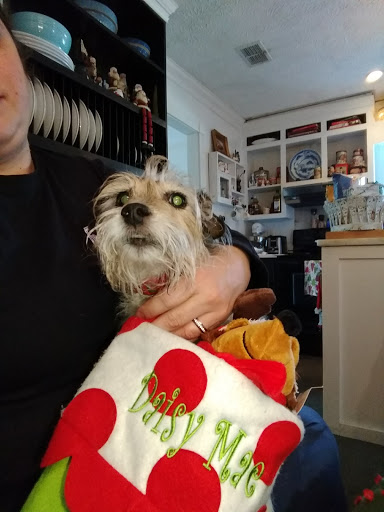 Sandersville Veterinary Clinic