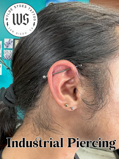 Explore element tattoo ideas, creative tattoo ideas in San Diego, available at Wylde Sydes Tattoo & Body Piercing