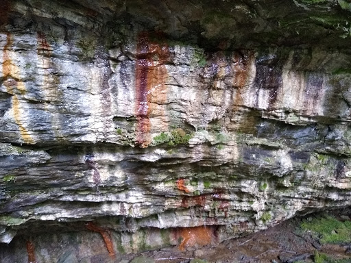 Nature Preserve «Princess Ledges Nature Preserve», reviews and photos, 4361 Spruce Ave, Brunswick, OH 44212, USA