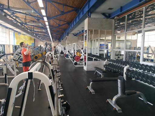 Gyms with swimming pool Moscow