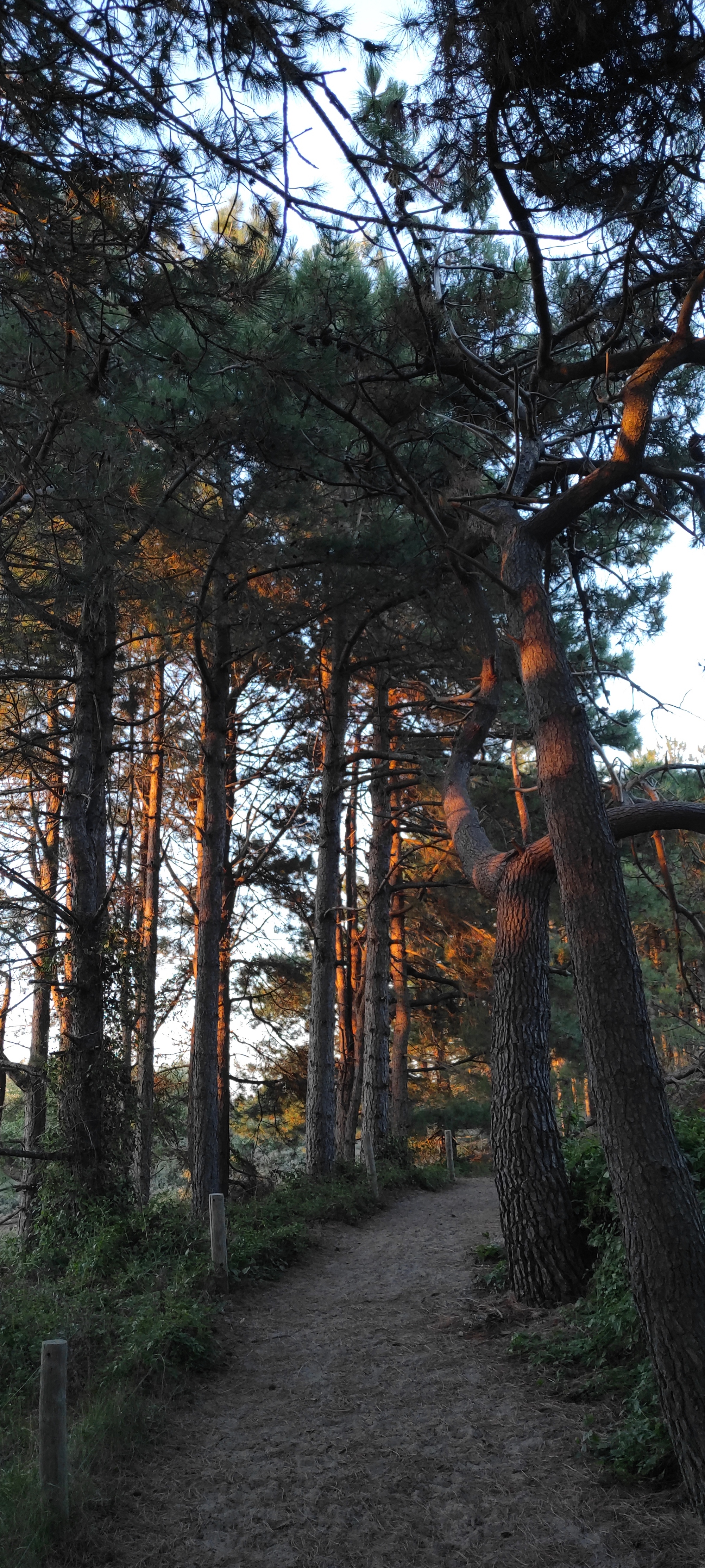 Photo n° 14 de l'avis de barbara.i fait le 17/08/2022 à 17:52