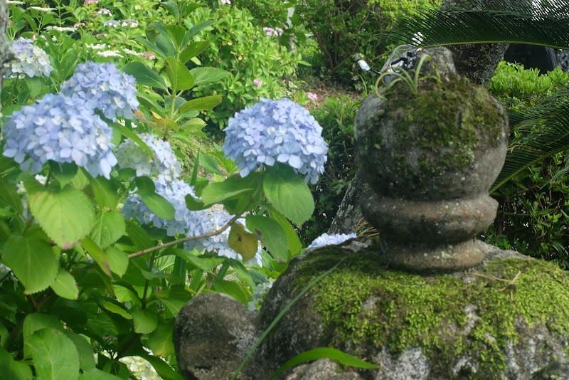 極楽寺 静岡県森町一宮 仏教寺院 神社 寺 グルコミ