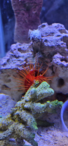 Pet Store «Moby Dick Pet Store Inc», reviews and photos, 3700 Sashabaw Rd, Waterford Twp, MI 48329, USA