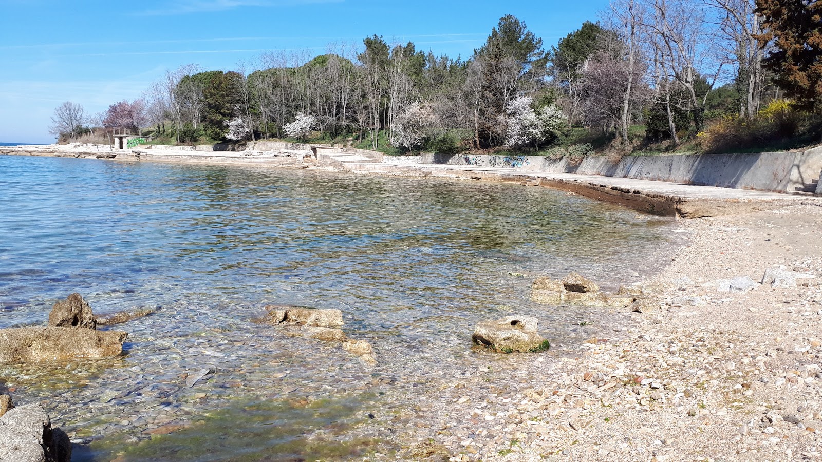 Foto av Savudrija beach med stenar yta