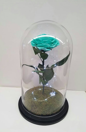 Florist «The Chocolate Rose», reviews and photos, 1609 S Richey St, Pasadena, TX 77502, USA