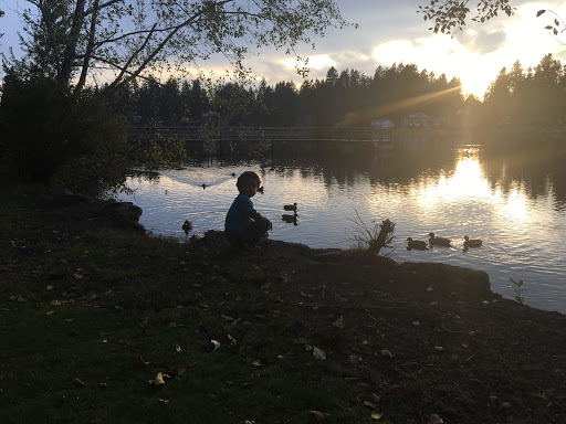 Park «Five Mile Lake Park», reviews and photos, 36429 44th Ave S, Auburn, WA 98001, USA