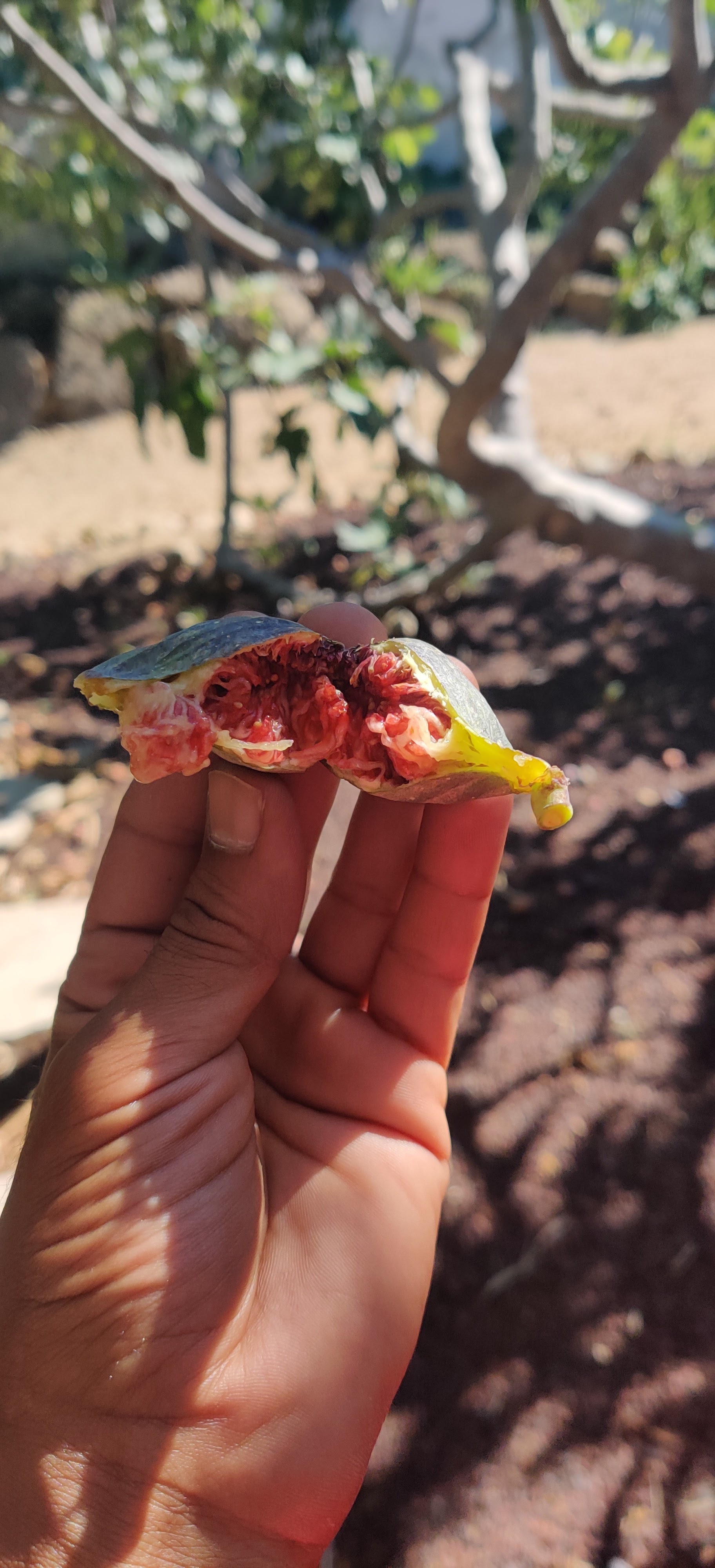 Photo n° 10 de l'avis de Oneplus7pro.n fait le 20/08/2022 à 22:57
