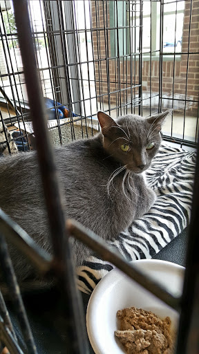 Pet Supply Store «Pet Supplies Plus», reviews and photos, 9 Waukegan Rd, Deerfield, IL 60015, USA